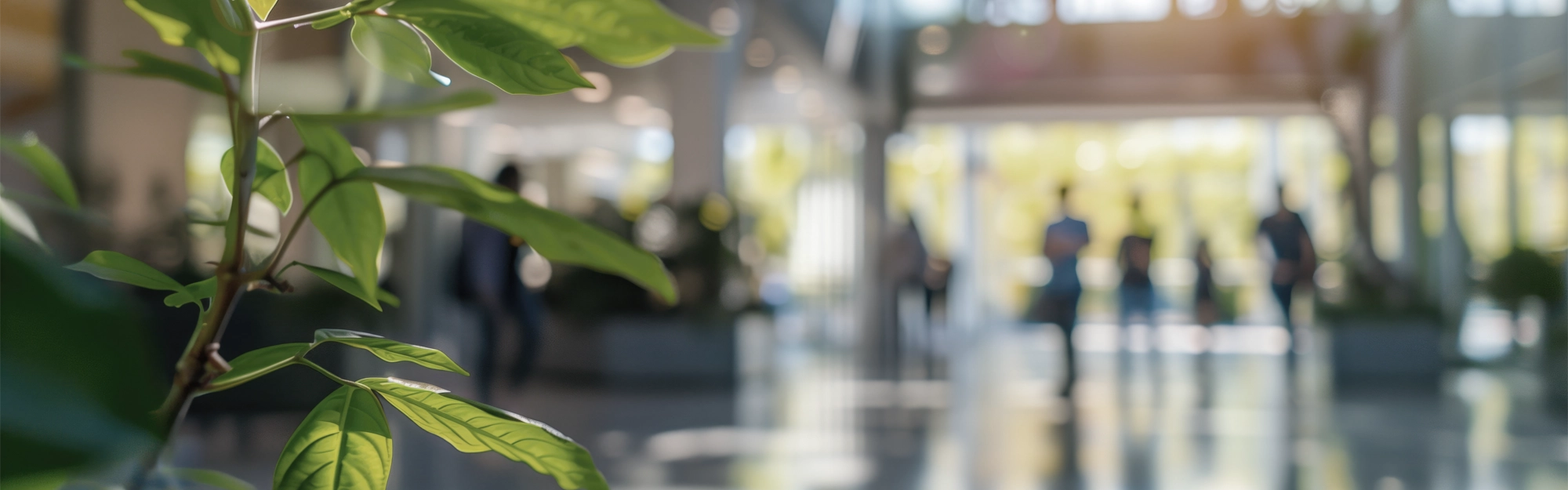 Verschwommenes Bürogebäude, mit Pflanze im Focal-Point